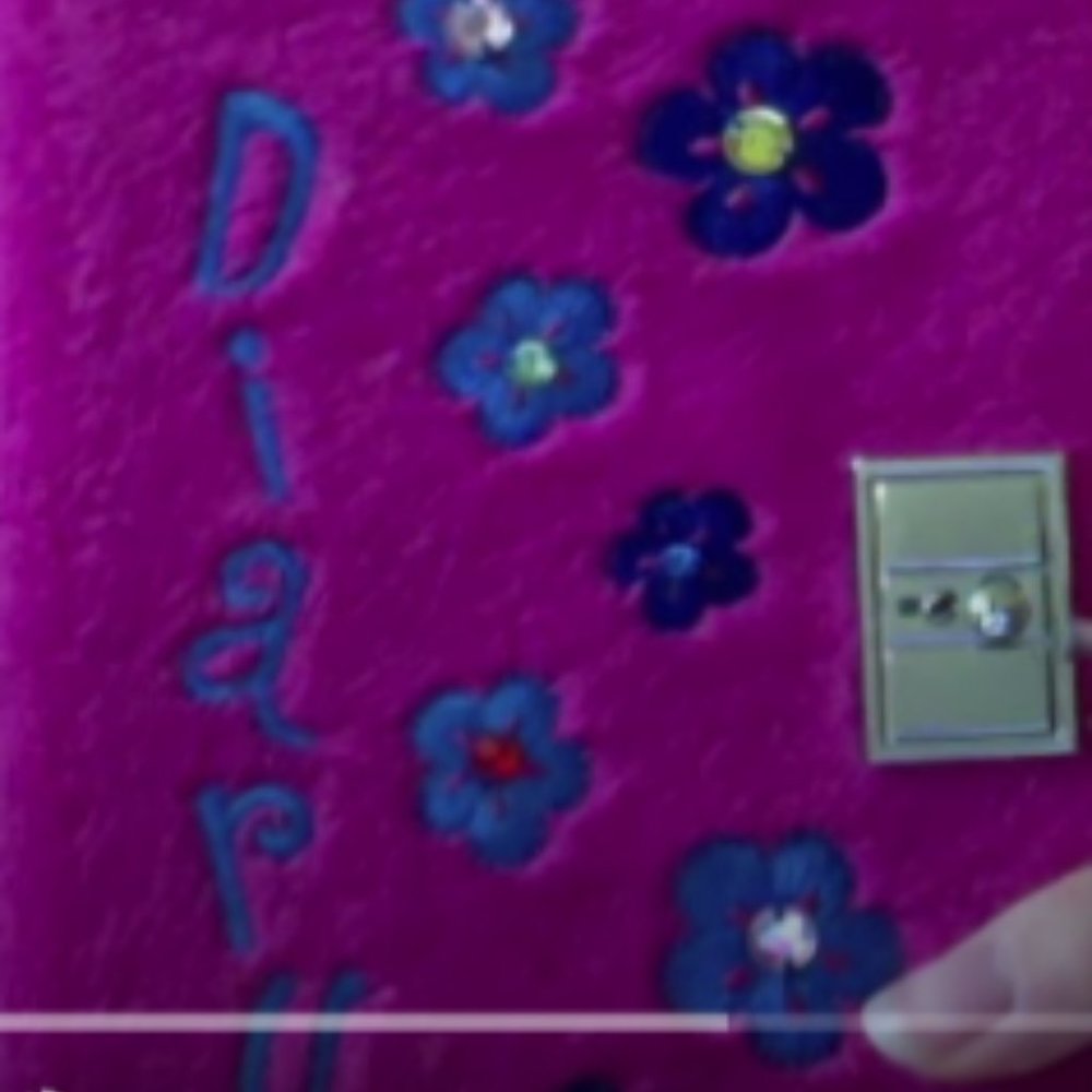 claire's diary ( I dont have it looking 4 it!!!!)